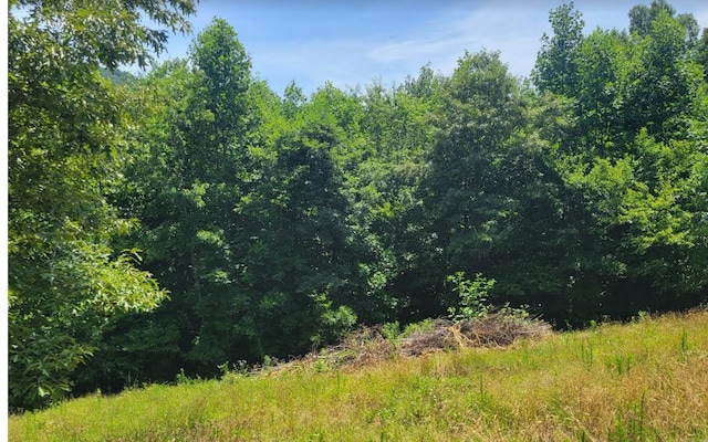 24 Mountain Knoll Ln, Warne, NC 28909
