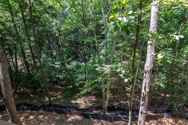 LOT3 Big Crk, Blue Ridge, GA 30513 - view of tree filled area