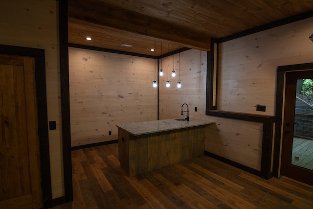 LOT3 Big Crk, Blue Ridge, GA 30513 - bar area with dark wood-type flooring, a wood ceiling with exposed beams, wood walls, and pendant lighting