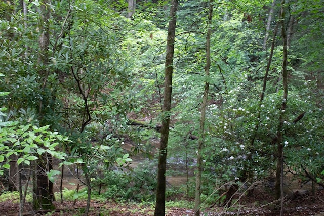 LOT3 Big Crk, Blue Ridge, GA 30513 - view of tree filled area