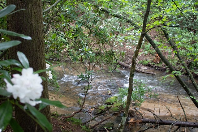 LOT3 Big Crk, Blue Ridge, GA 30513 - view of undeveloped land