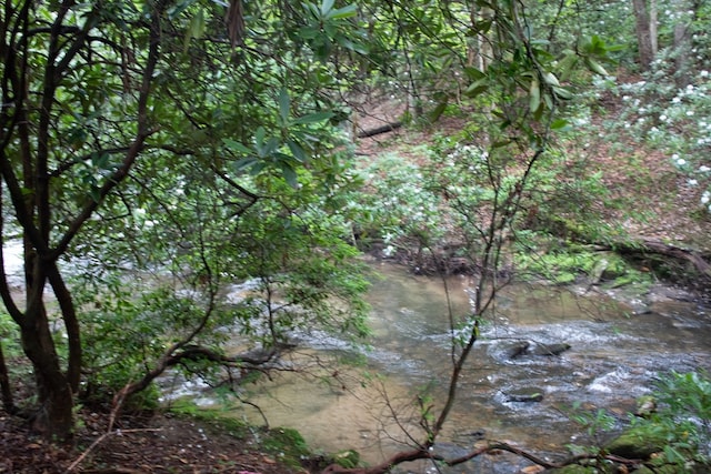 LOT3 Big Crk, Blue Ridge, GA 30513 - water view