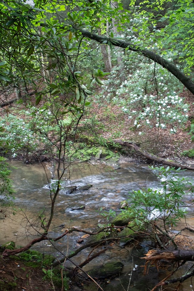 LOT3 Big Crk, Blue Ridge, GA 30513 - view of undeveloped land