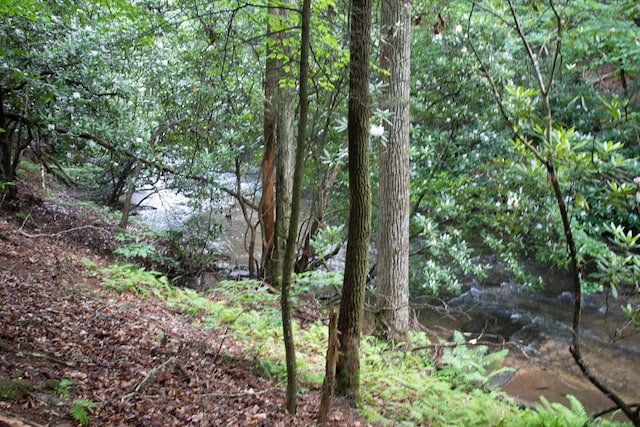 LOT3 Big Crk, Blue Ridge, GA 30513 - view of nature