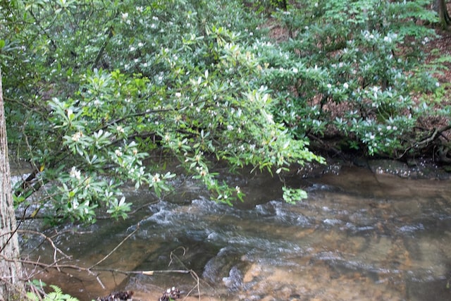 LOT3 Big Crk, Blue Ridge, GA 30513 - view of nature