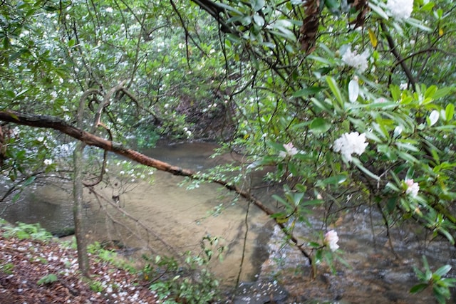 LOT3 Big Crk, Blue Ridge, GA 30513 - view of nature