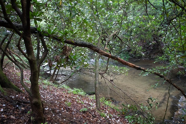 LOT3 Big Crk, Blue Ridge, GA 30513 - view of undeveloped land