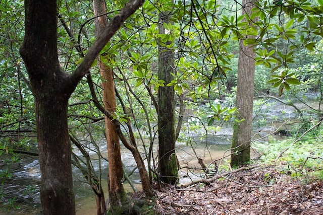LOT3 Big Crk, Blue Ridge, GA 30513 - water view