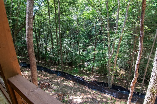 LOT3 Big Crk, Blue Ridge, GA 30513 - view of yard featuring a wooded view