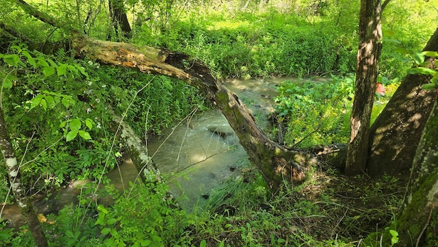 5451 Sampson Rd, Young Harris, GA 30582 - view of undeveloped land