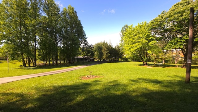 5451 Sampson Rd, Young Harris, GA 30582 - surrounding community featuring a yard and view of wooded area