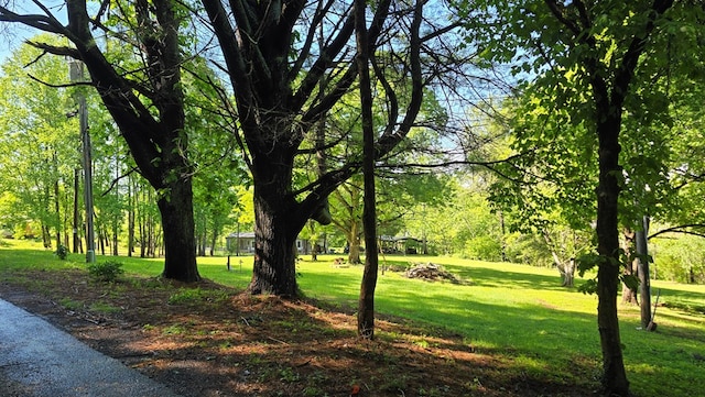 5451 Sampson Rd, Young Harris, GA 30582 - view of property's community with a yard