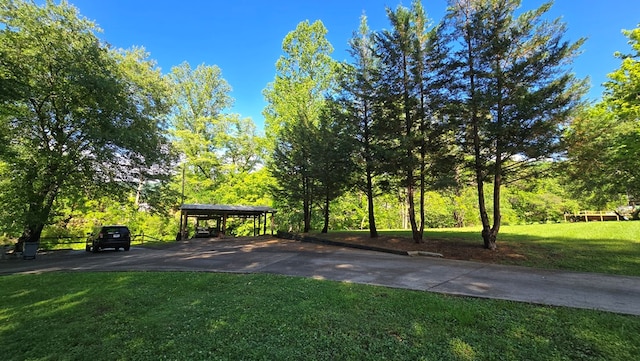 5451 Sampson Rd, Young Harris, GA 30582 - surrounding community with a carport, driveway, and a lawn
