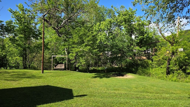 5451 Sampson Rd, Young Harris, GA 30582 - view of green lawn
