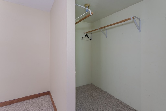 spacious closet with carpet flooring