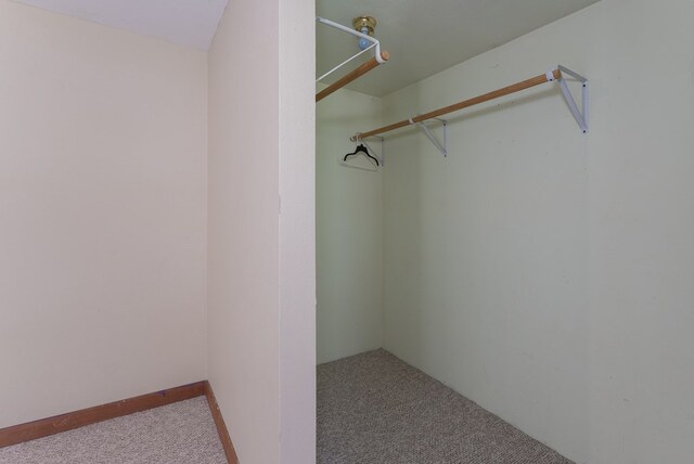 1244 Cook Creek Rd, Murphy, NC 28906 - spacious closet with carpet flooring