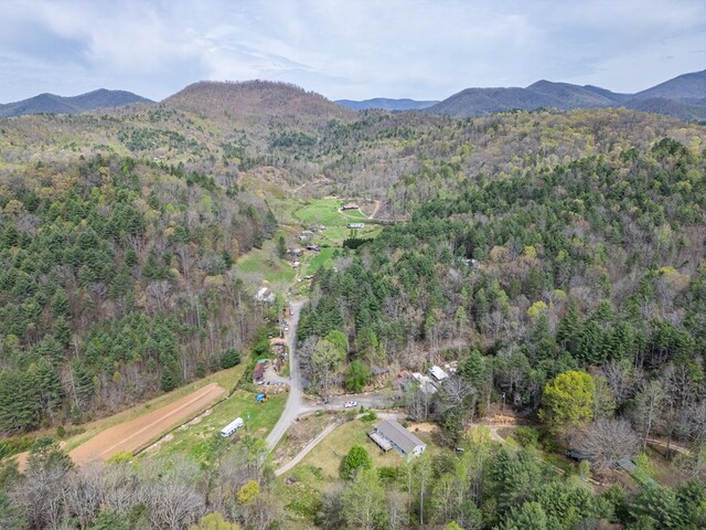 1244 Cook Creek Rd, Murphy, NC 28906 - drone / aerial view with a mountain view and a wooded view