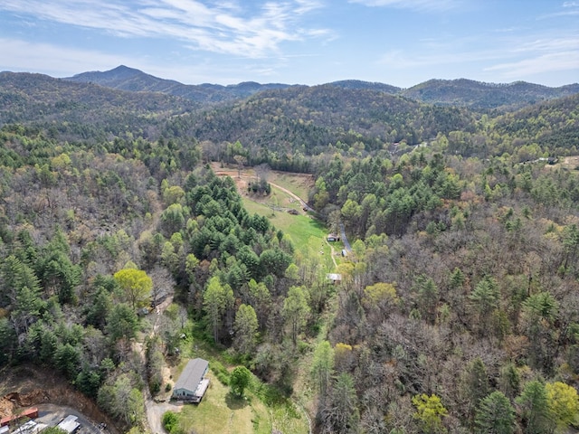 bird's eye view with a view of trees and a mountain view