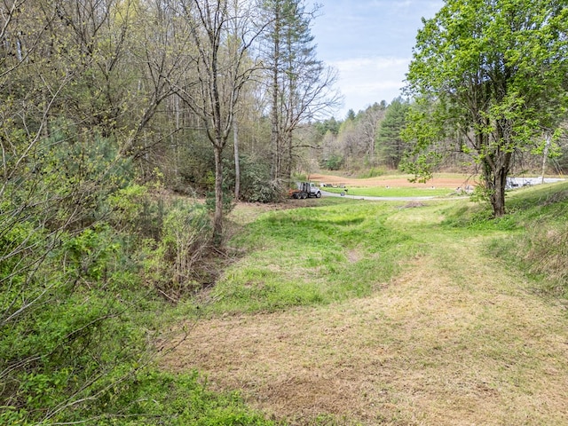 view of yard featuring a view of trees