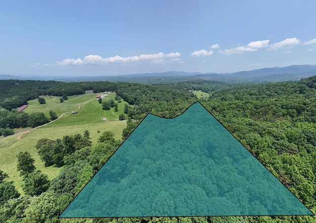 21ACRES Craig Thompson Dr, Blairsville, GA 30512