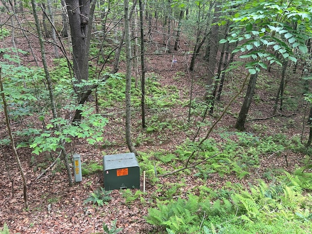 21ACRES Craig Thompson Dr, Blairsville, GA 30512