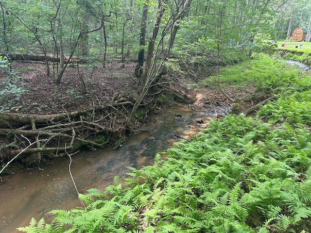 21ACRES Craig Thompson Dr, Blairsville, GA 30512