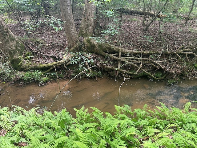 21ACRES Craig Thompson Dr, Blairsville, GA 30512