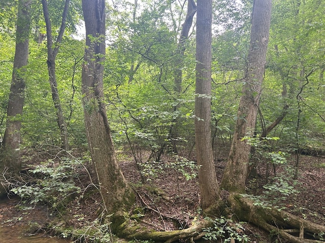 21ACRES Craig Thompson Dr, Blairsville, GA 30512