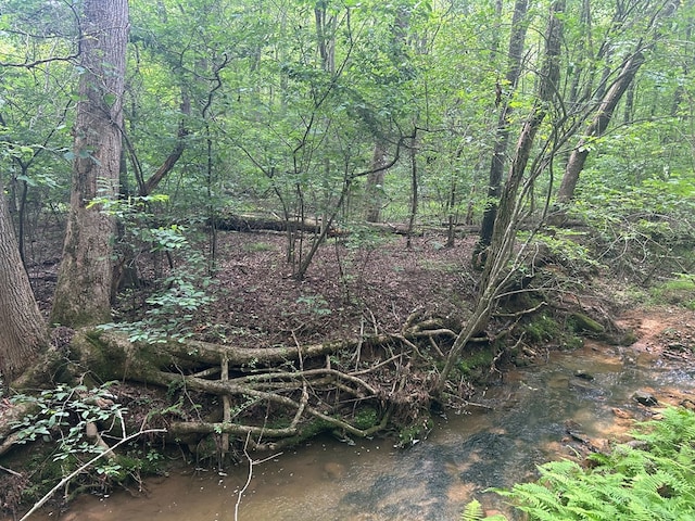 21ACRES Craig Thompson Dr, Blairsville, GA 30512