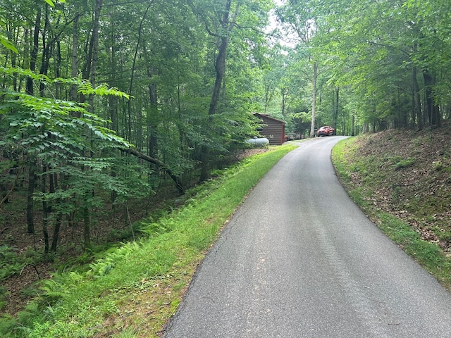 21ACRES Craig Thompson Dr, Blairsville, GA 30512