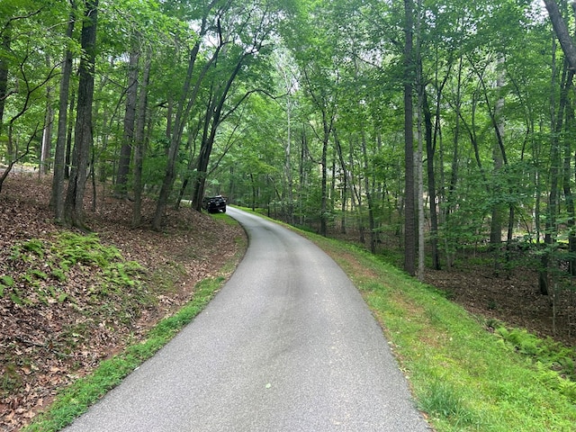 21ACRES Craig Thompson Dr, Blairsville, GA 30512