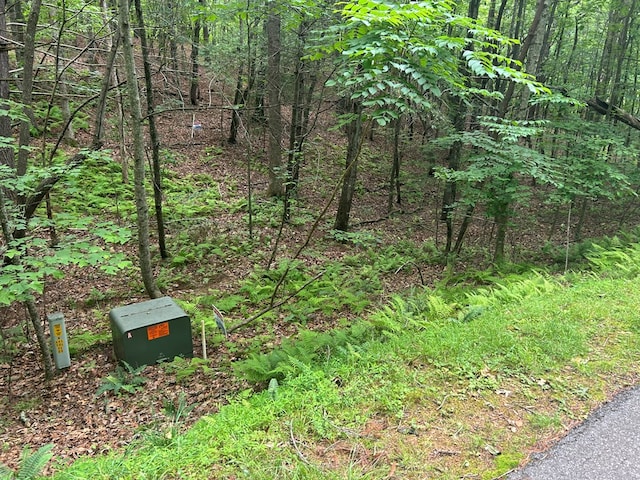 21ACRES Craig Thompson Dr, Blairsville, GA 30512