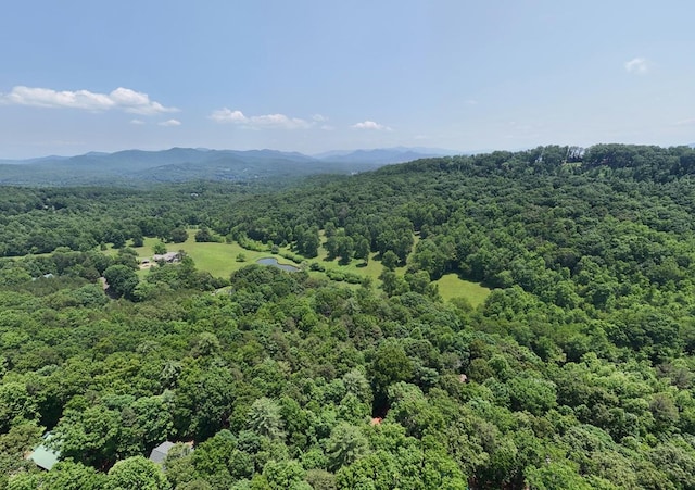 21ACRES Craig Thompson Dr, Blairsville, GA 30512