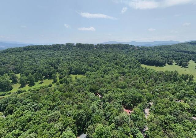 21ACRES Craig Thompson Dr, Blairsville, GA 30512