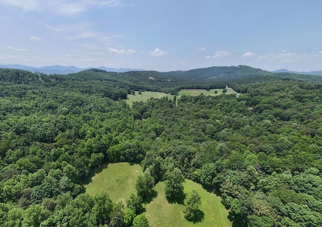 21ACRES Craig Thompson Dr, Blairsville, GA 30512