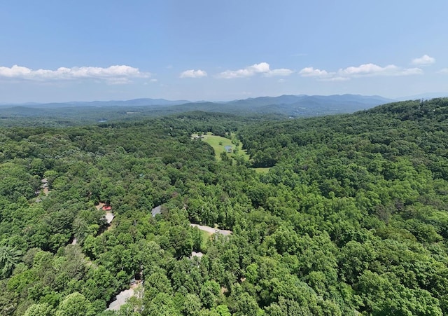 21ACRES Craig Thompson Dr, Blairsville, GA 30512