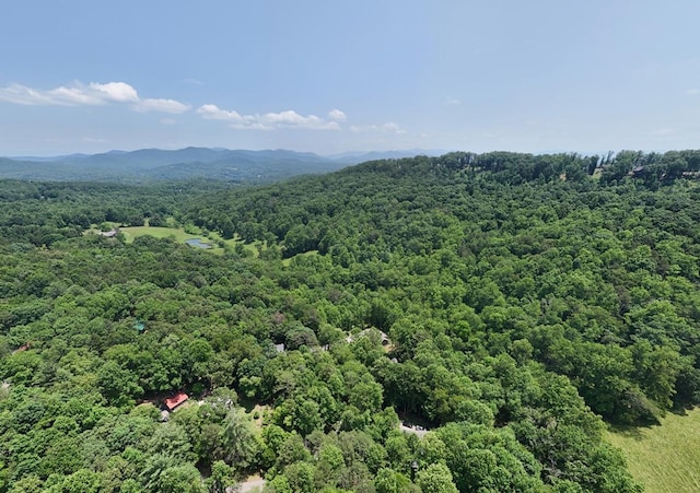21ACRES Craig Thompson Dr, Blairsville, GA 30512