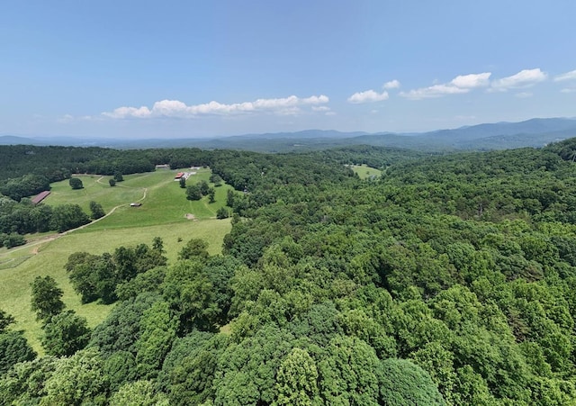 21ACRES Craig Thompson Dr, Blairsville, GA 30512