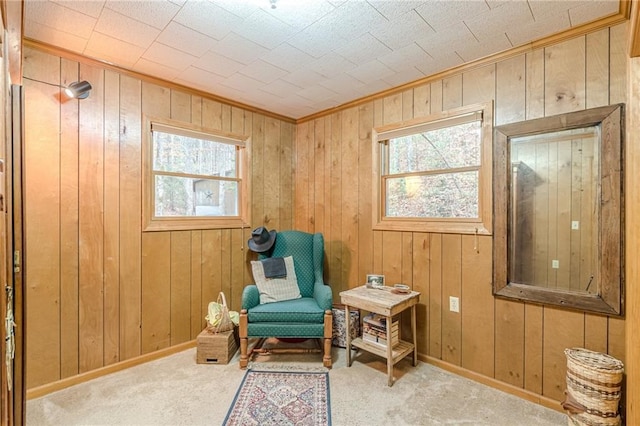 sitting room with wood walls, light colored carpet, and a healthy amount of sunlight