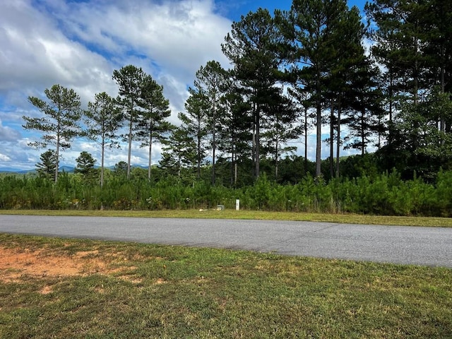 Listing photo 2 for 0 Loop Ln, Blairsville GA 30512