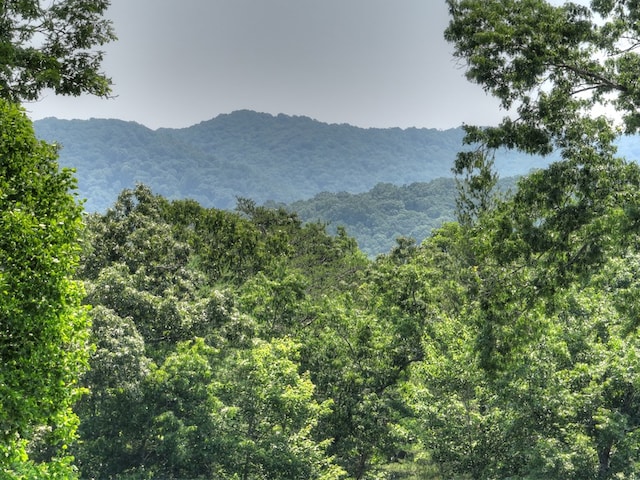 558 Tipton Springs Rd, Morganton, GA 30560 - mountain view with a heavily wooded area