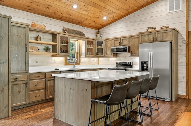 558 Tipton Springs Rd, Morganton, GA 30560 - kitchen featuring stainless steel appliances, lofted ceiling, wooden ceiling, wooden walls, and a sink