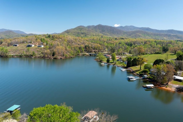 231 Kilpatrick Point Ln, Hayesville NC, 28904 land for sale