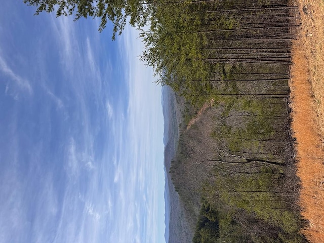 LT35 Crested Eagle Ln, Murphy, NC 28906