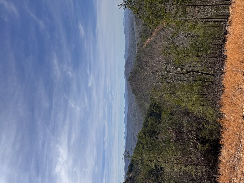 LT35 Crested Eagle Ln, Murphy, NC 28906