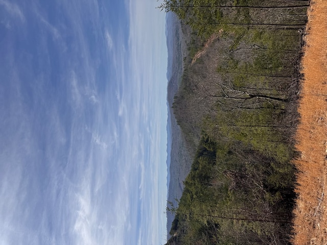 LT35 Crested Eagle Ln, Murphy, NC 28906