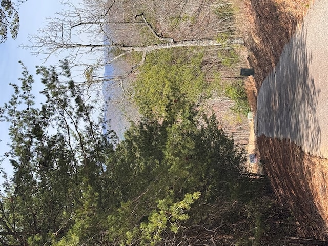 LT35 Crested Eagle Ln, Murphy, NC 28906