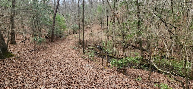 LOT18 Gray Fox Trl, Blairsville GA, 30512 land for sale