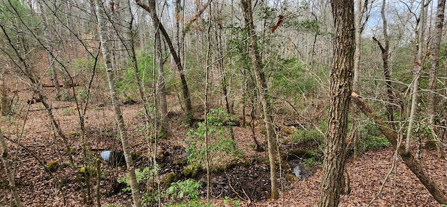 Listing photo 2 for LOT18 Gray Fox Trl, Blairsville GA 30512