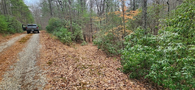 Listing photo 3 for LOT18 Gray Fox Trl, Blairsville GA 30512